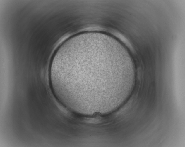 X0000111391229200907311107