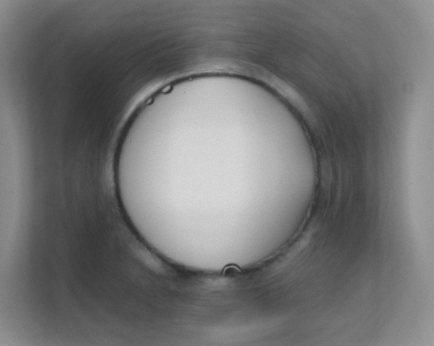 X0000111391230200907311107