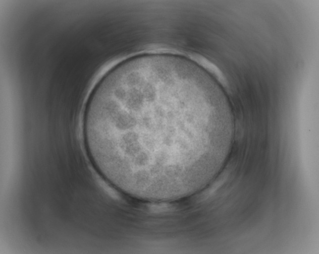 X0000111391231200907311107