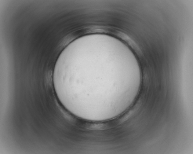 X0000111391233200907311107