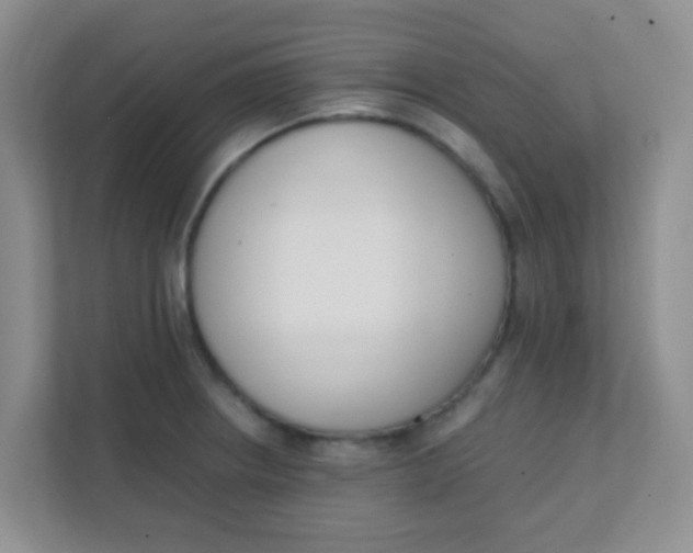 X0000111391234200907311107