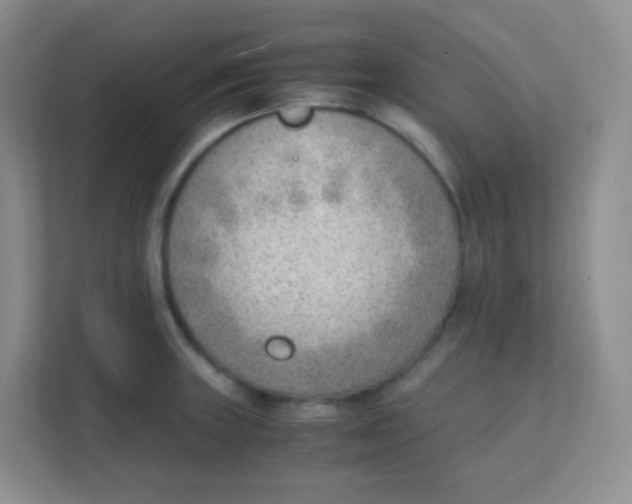 X0000111391235200907311107