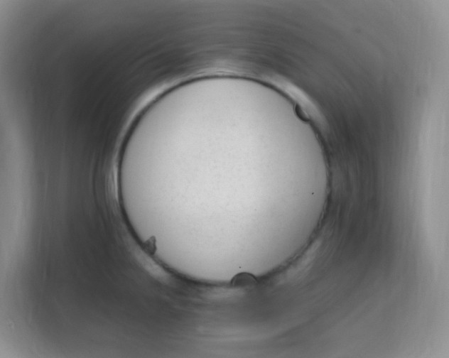 X0000111391238200907311107