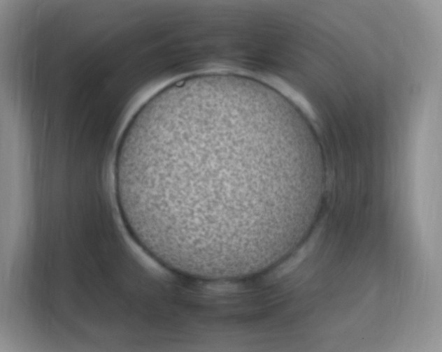 X0000111391239200907311107