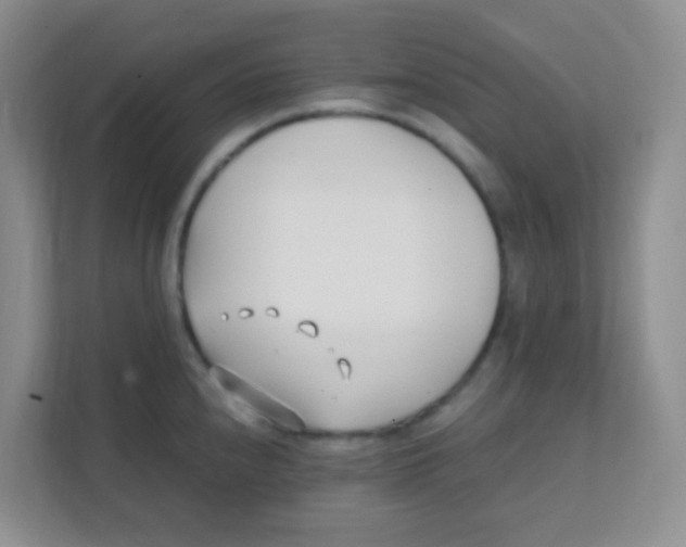 X0000111391240200907311107