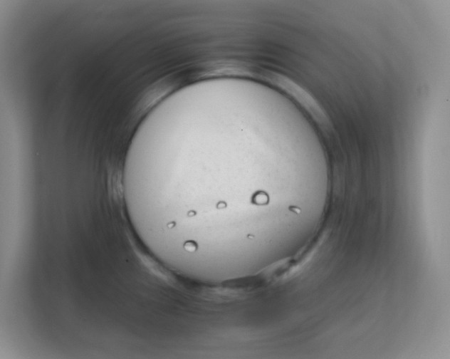 X0000111391241200907311107