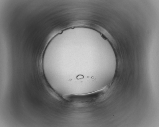 X0000111391242200907311107