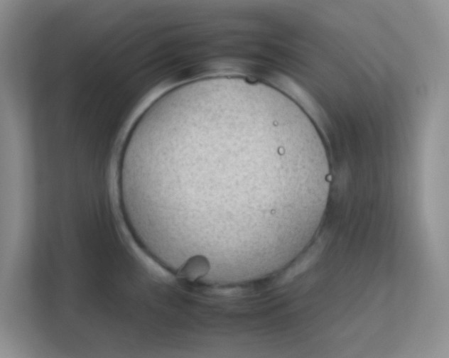 X0000111391243200907311107