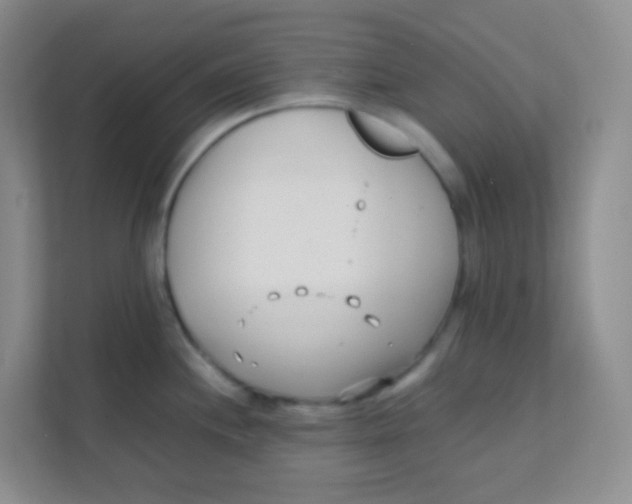 X0000111391244200907311107