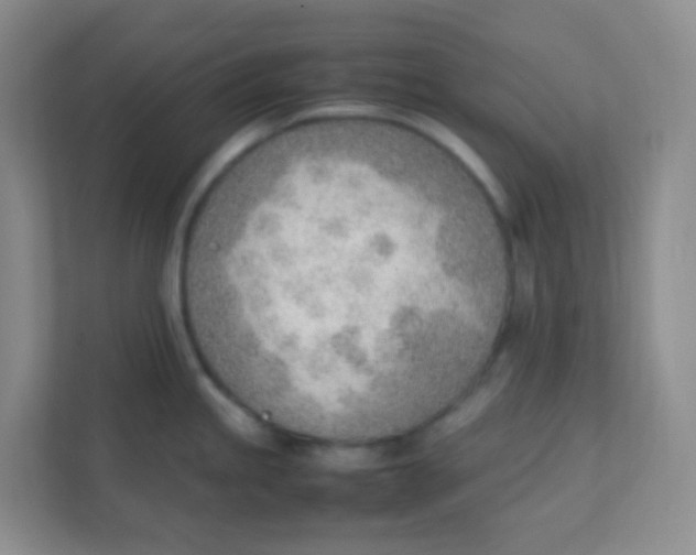 X0000111391245200907311107