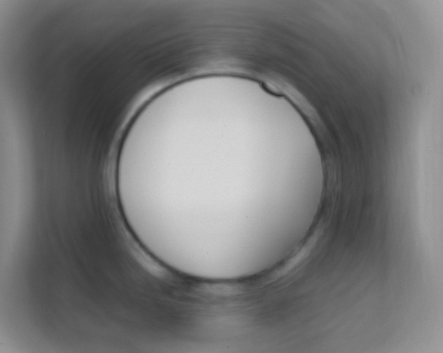 X0000111391246200907311107