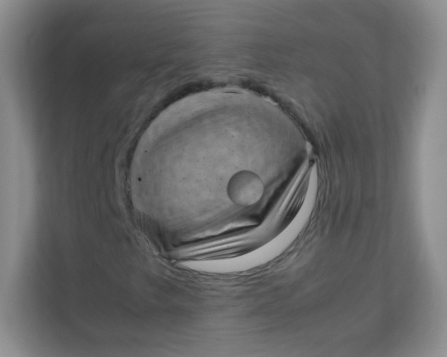 X0000111391249200907311107