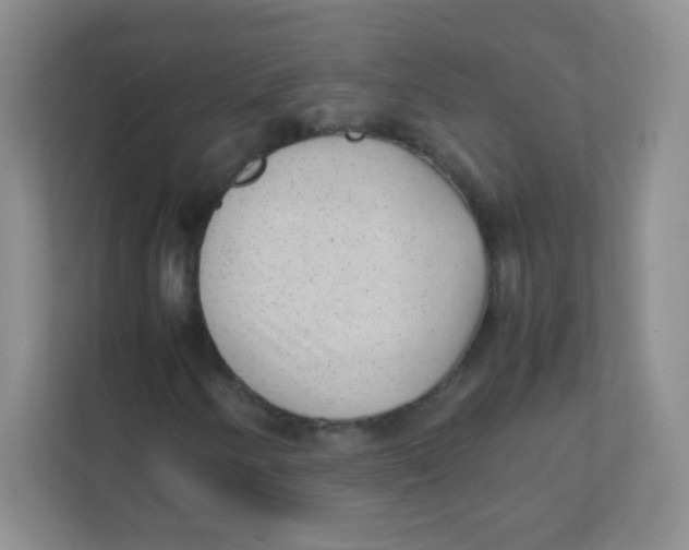 X0000111391250200907311107