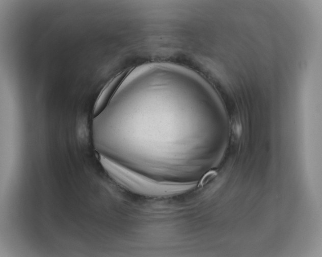 X0000111391252200907311106