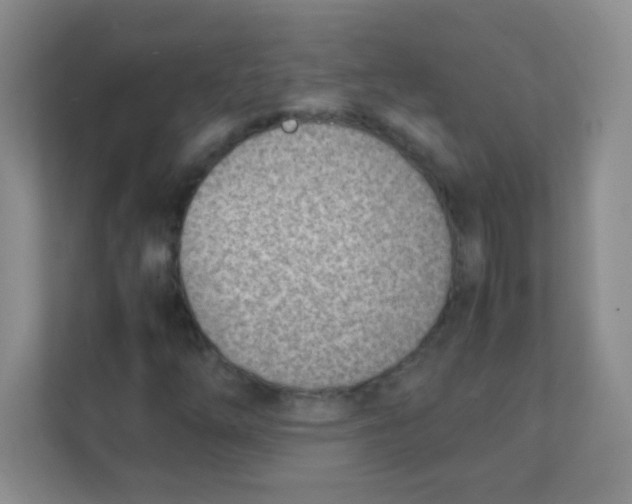 X0000111391254200907311106