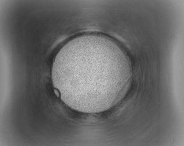 X0000111391255200907311106