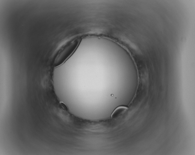 X0000111391256200907311106