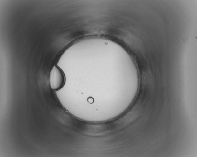 X0000111391257200907311106