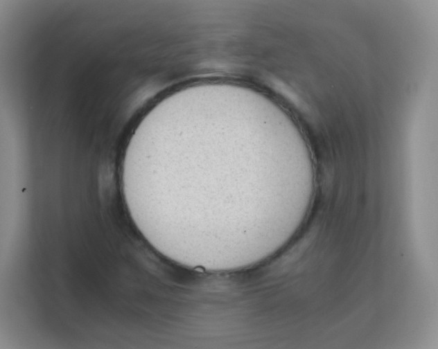 X0000111391259200907311106