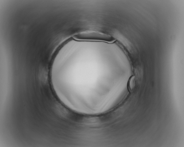 X0000111391260200907311106