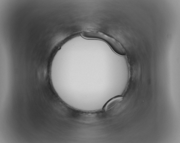 X0000111391261200907311106