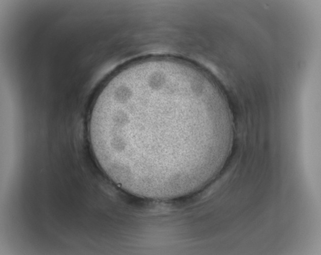 X0000111391263200907311106