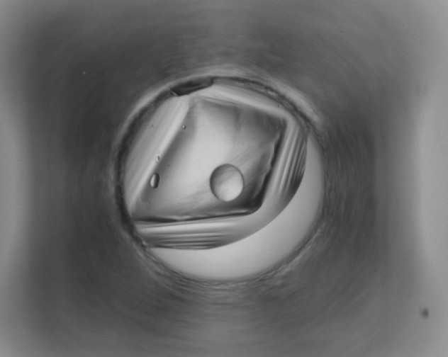 X0000111391264200907311106