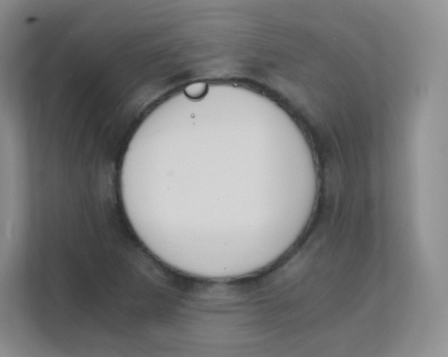 X0000111391265200907311106