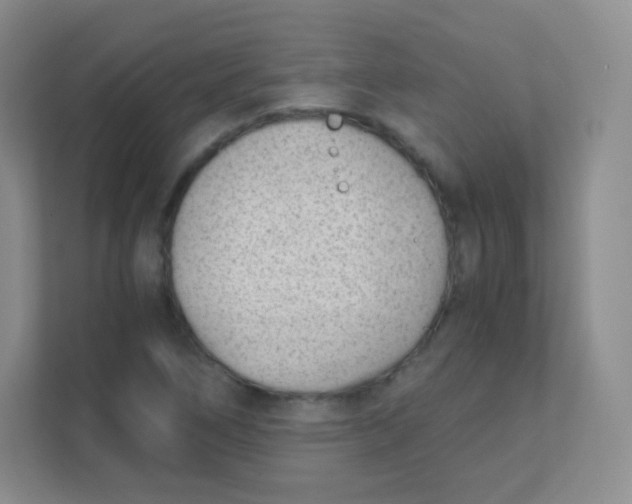 X0000111391266200907311106