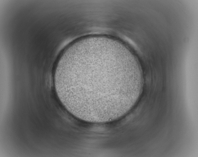 X0000111391267200907311106