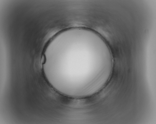 X0000111391269200907311106