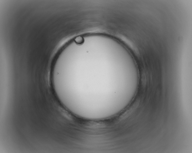 X0000111391270200907311106