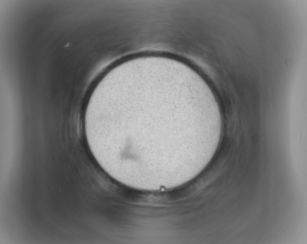 X0000111391271200907311106