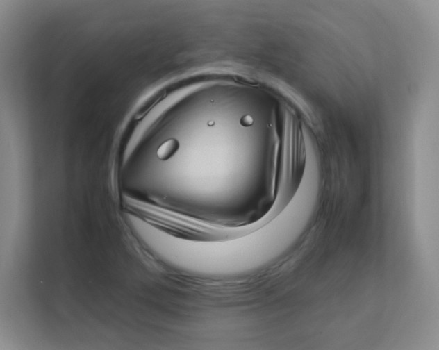 X0000111391272200907311106