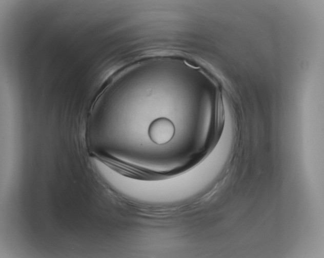 X0000111391273200907311106