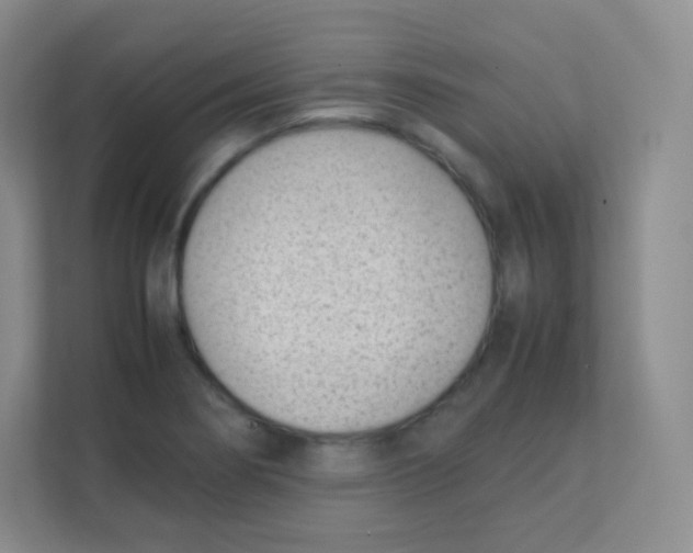 X0000111391274200907311106