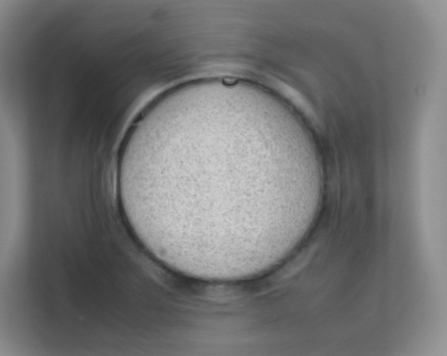 X0000111391275200907311106