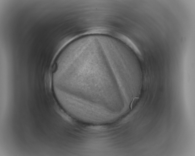 X0000111391276200907311106