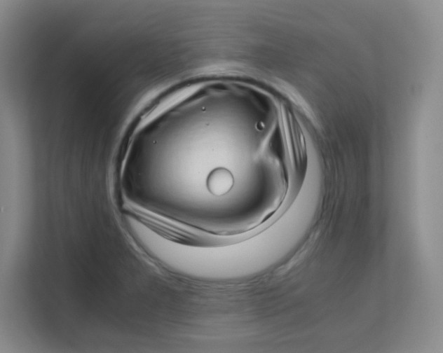 X0000111391277200907311106