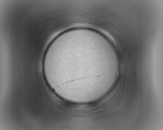 X0000111391279200907311106