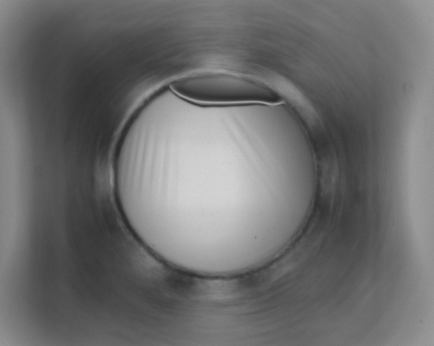 X0000111391280200907311106