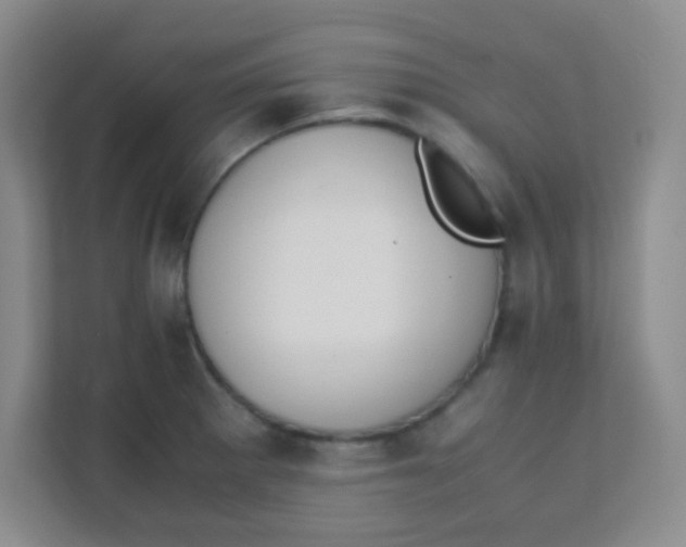 X0000111391281200907311106