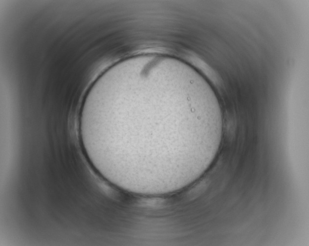 X0000111391282200907311106