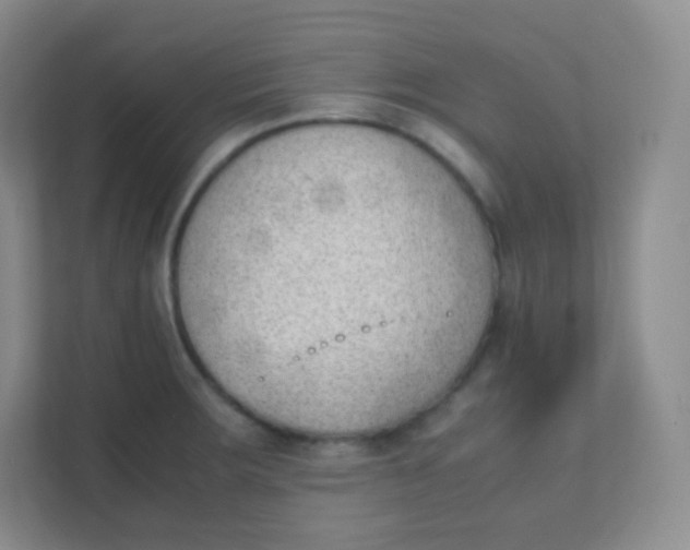 X0000111391283200907311106