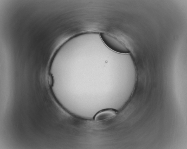 X0000111391285200907311106