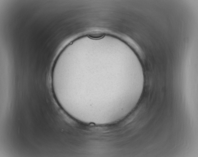 X0000111391287200907311106