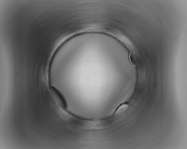 X0000111391288200907311106