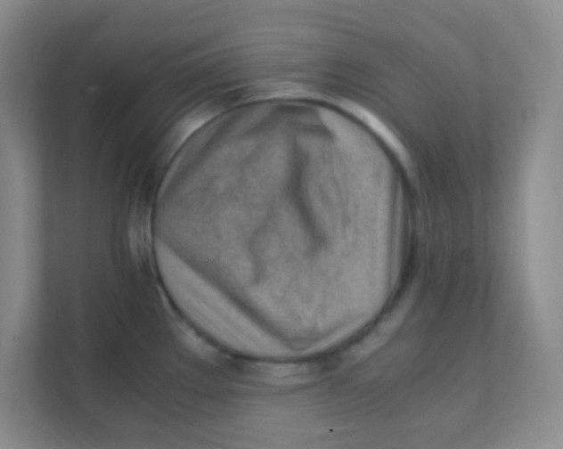 X0000111391289200907311106