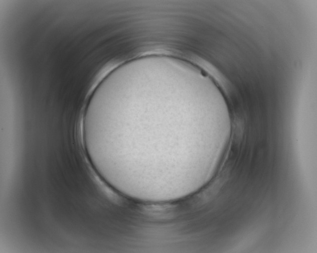 X0000111391290200907311106