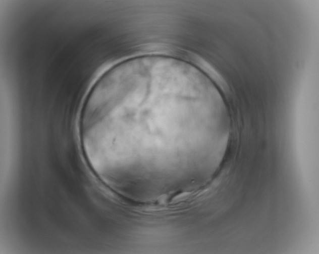 X0000111391291200907311106